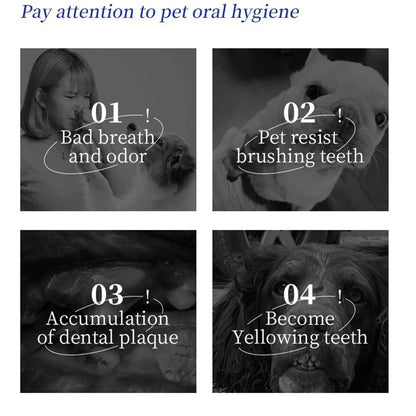 Plaque Defence Powder